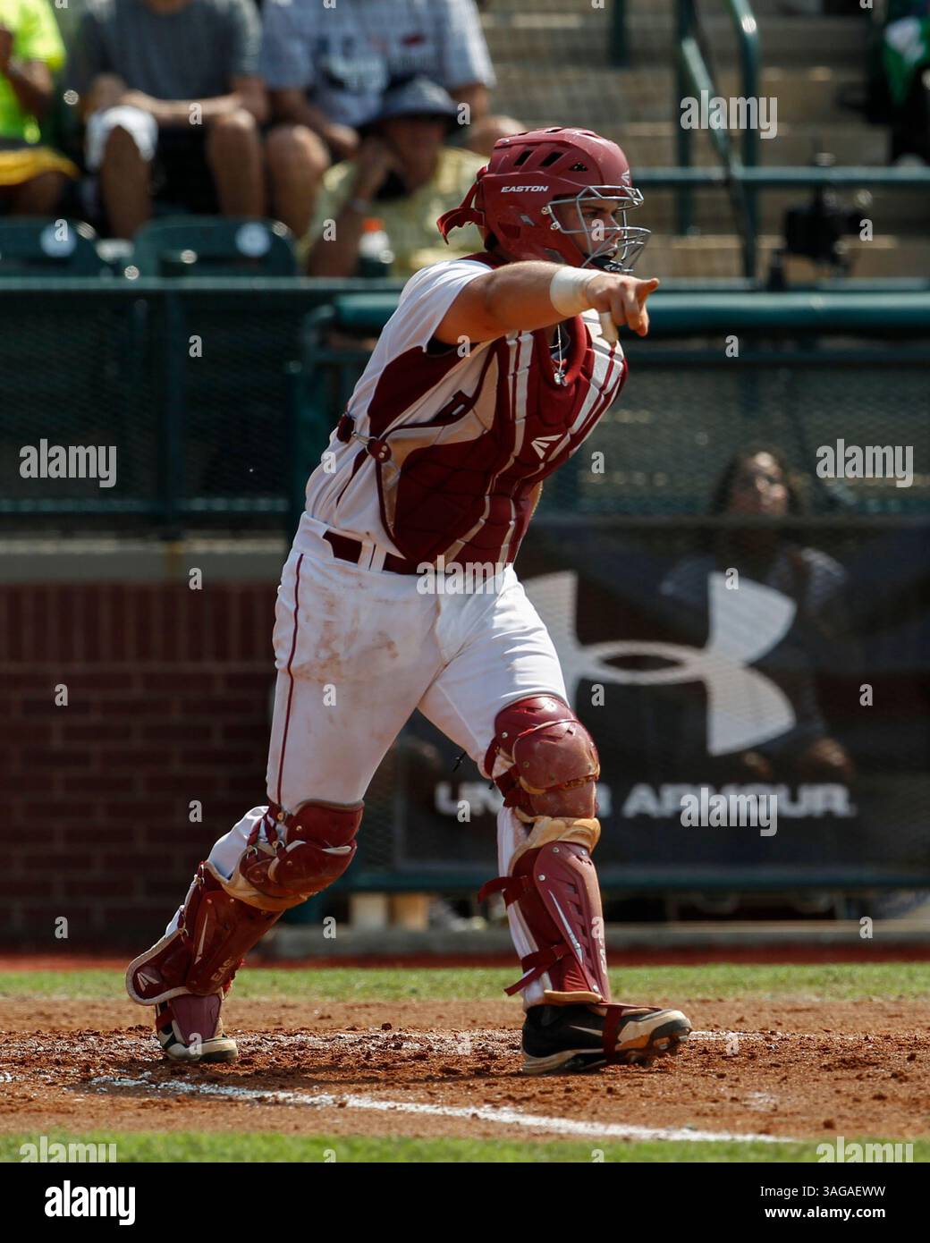 Arkansas razorbacks baseball hi-res stock photography and images - Alamy