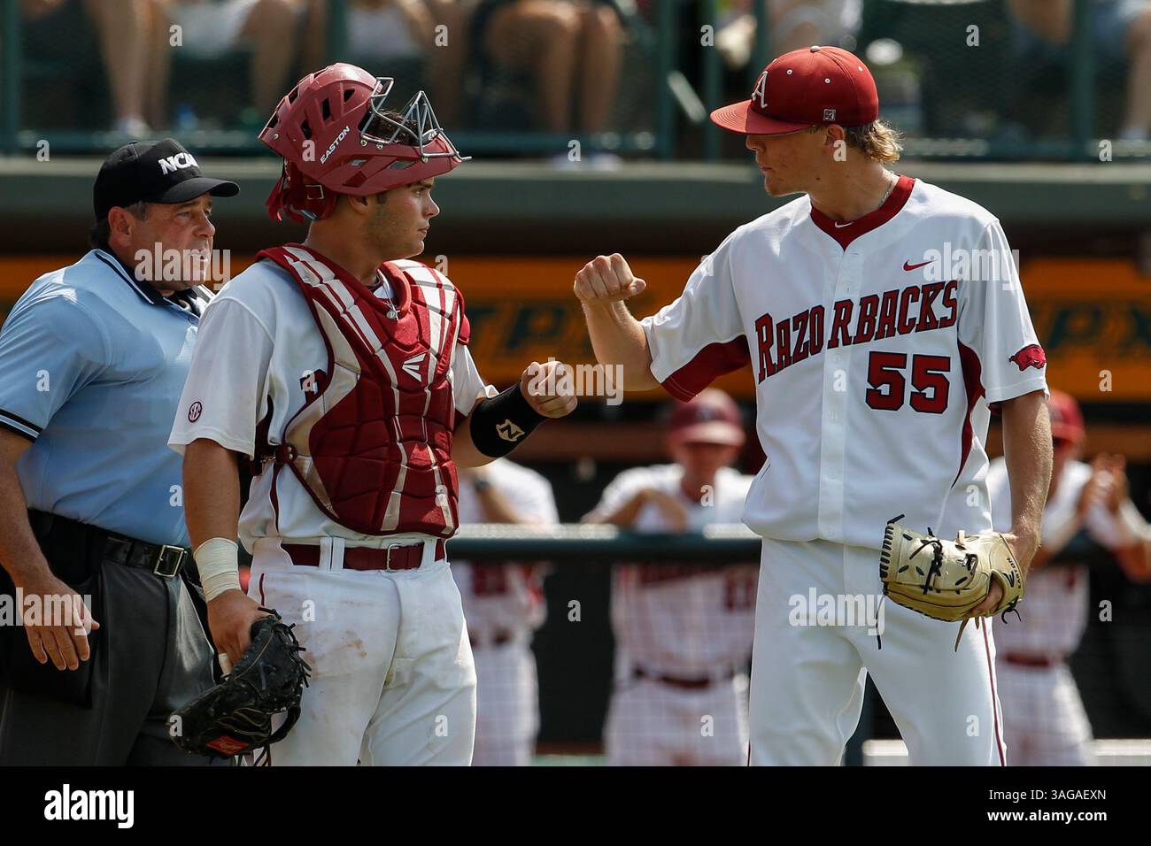 Arkansas razorbacks baseball hi-res stock photography and images - Alamy