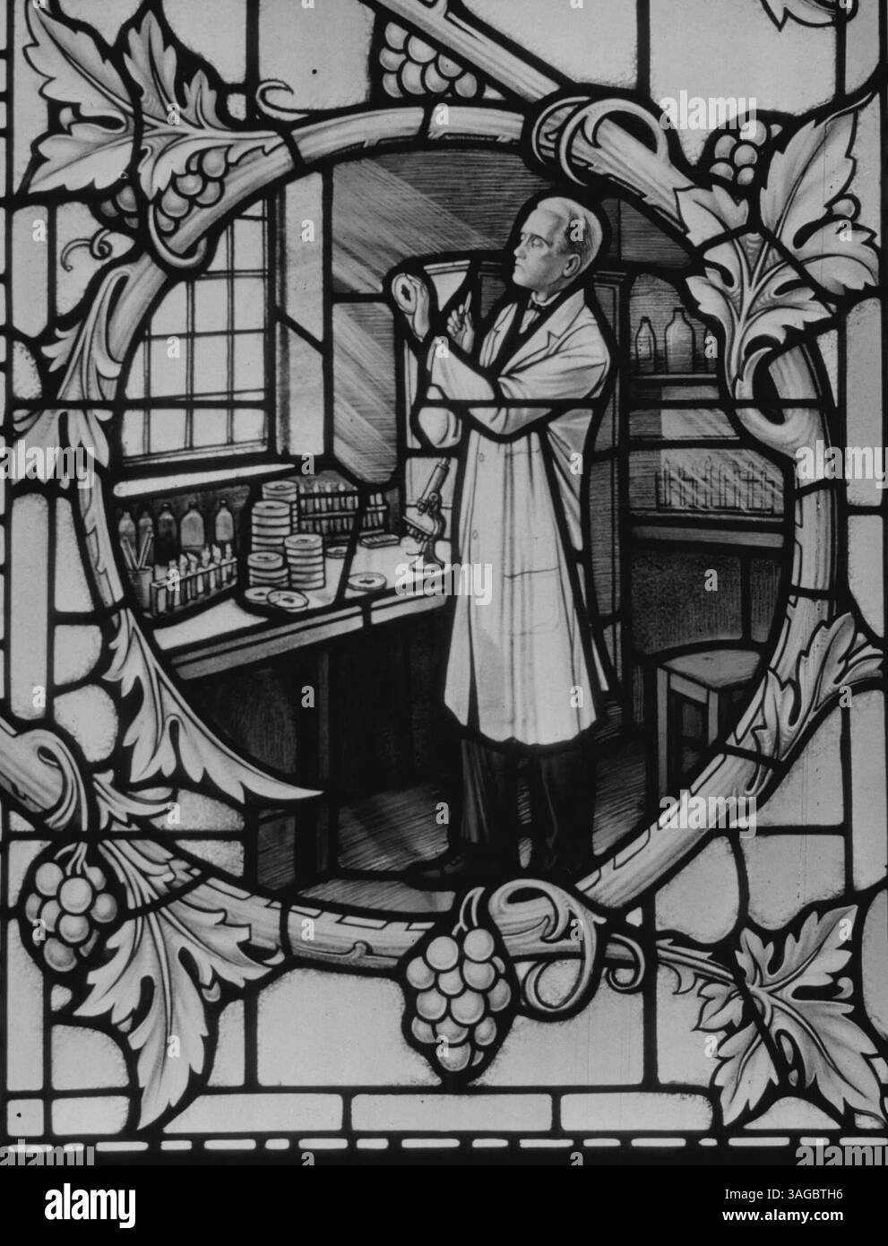 Penicillin Window - The penicillin window commemorating Alexander ...