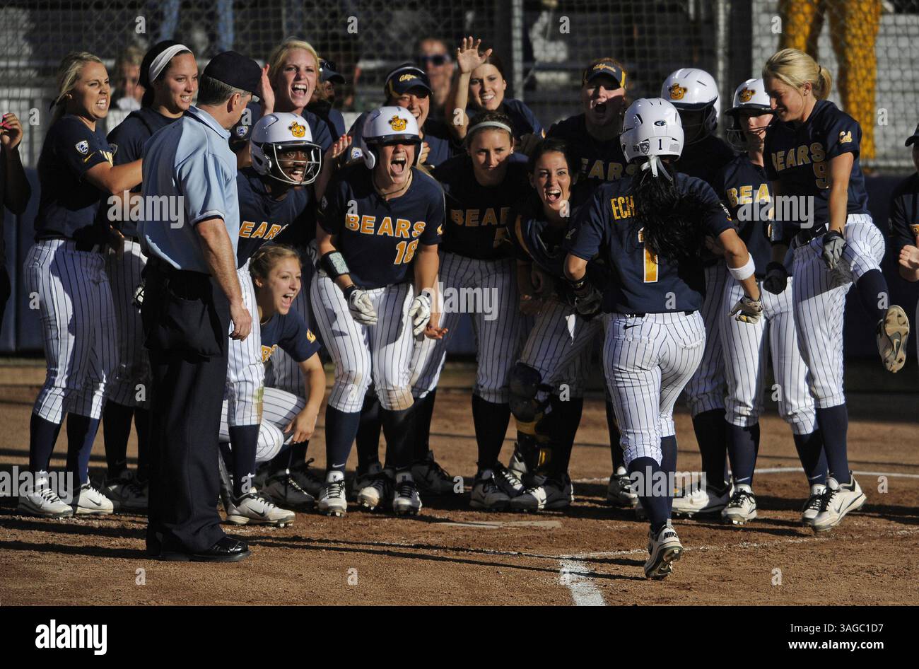 Frani Arkansas razorbacks softball hi-res stock photography and images - Alamy