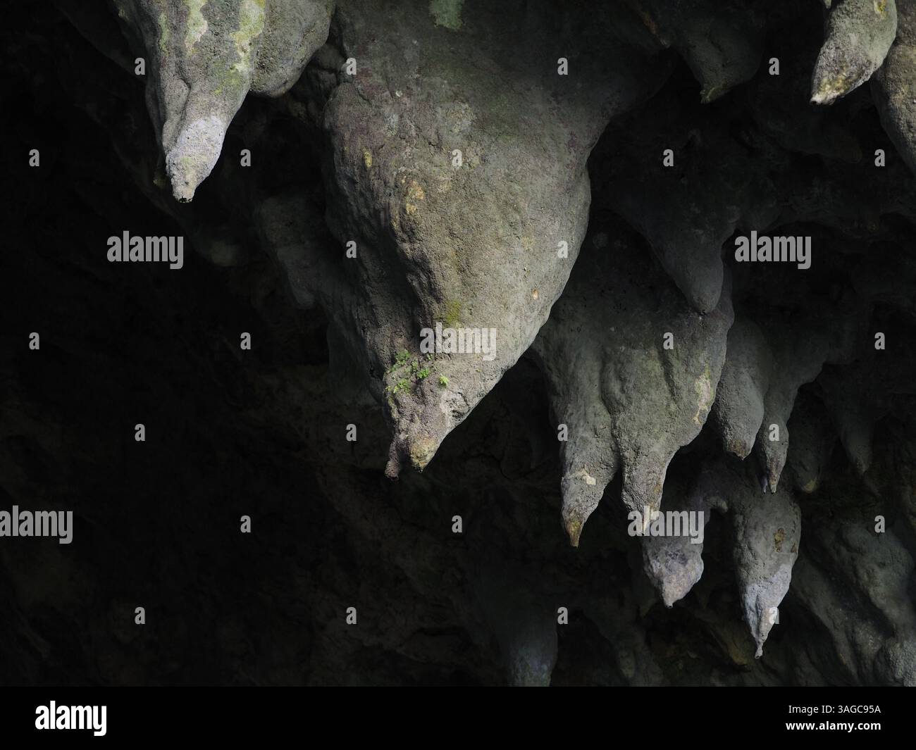 Sharp Rocks On Cealing Unique rock formations with sharp edges hang from cave ceiling in ...