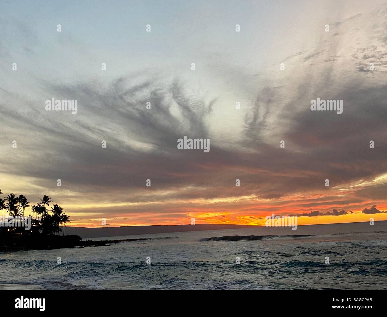 Tropical Sunset Over Ocean with Palm Silhouettes - Smartphone Captured Stock Image