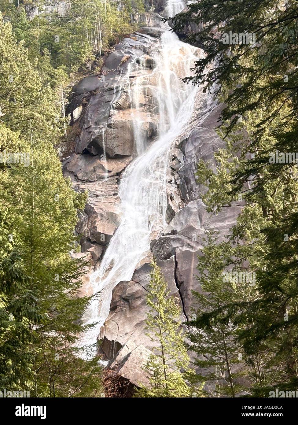 Majestic Waterfall Cascading Through Forest - Smartphone Captured Stock Image