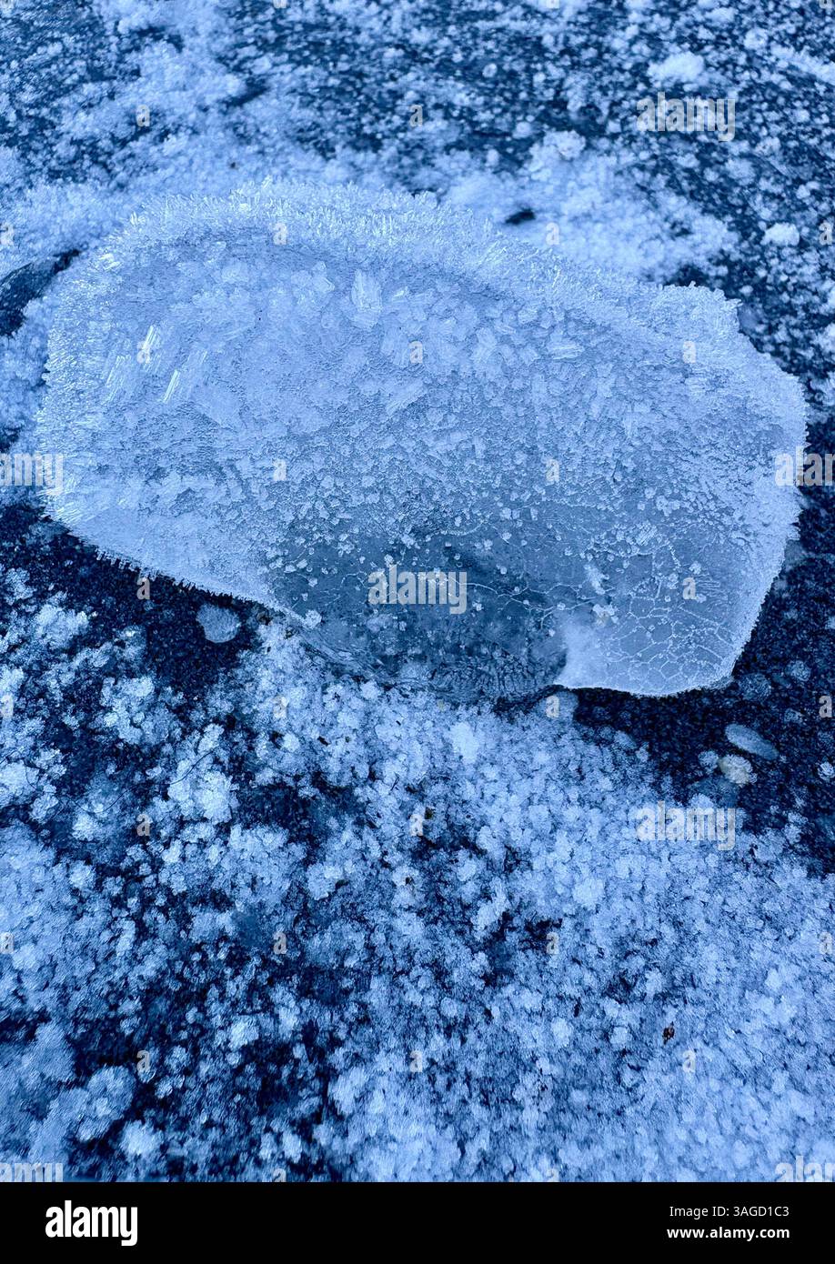 Close-Up of Ice Formation on Ground - Smartphone Captured Stock Image