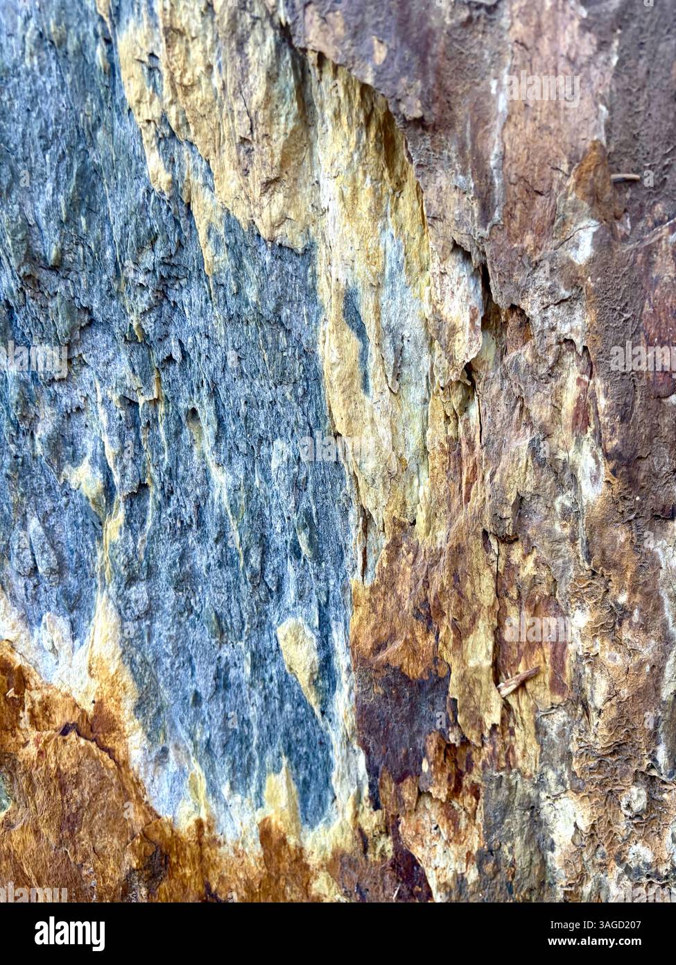 Textured Rock Surface with Color Variations - Smartphone Captured Stock Image