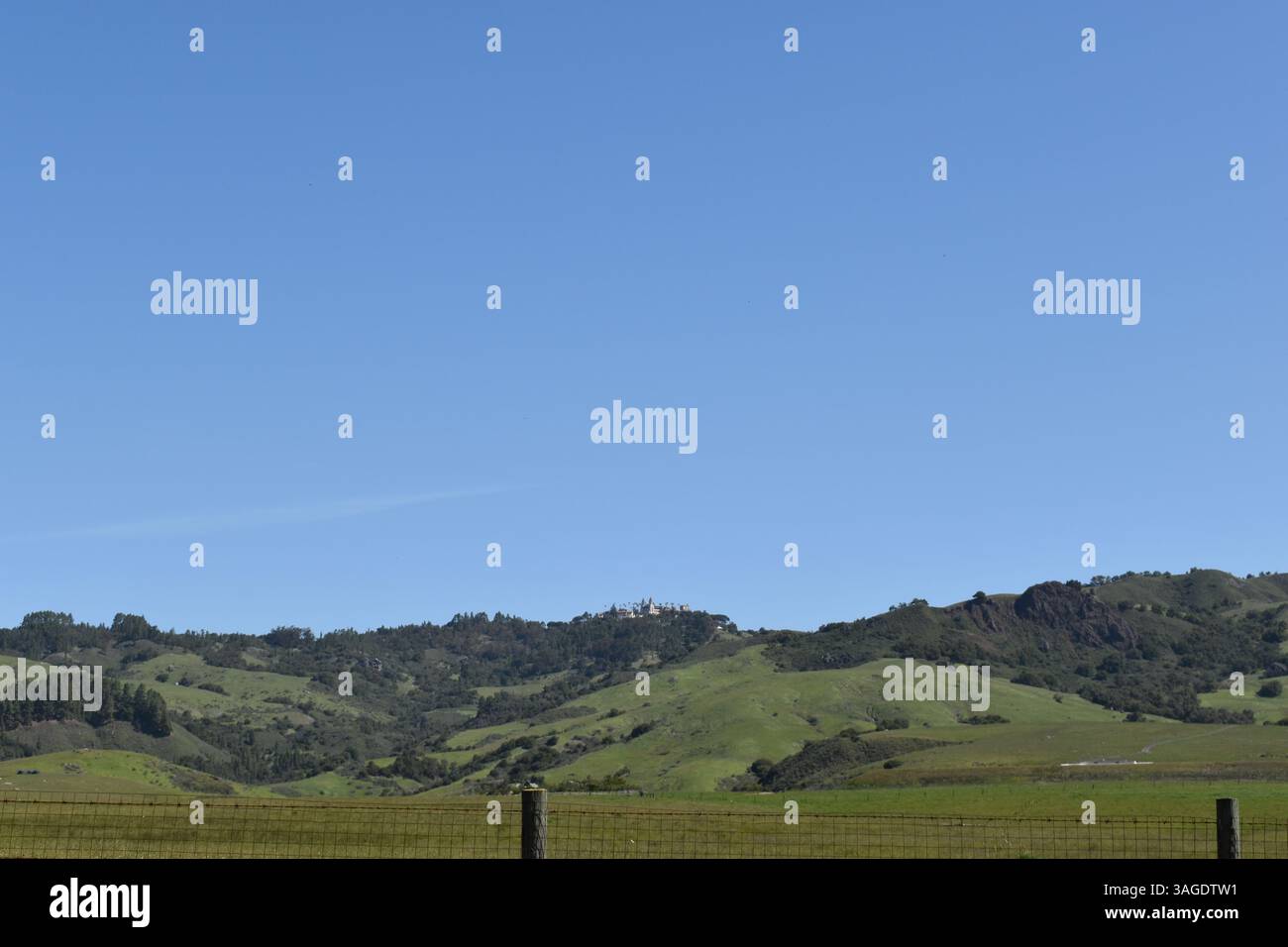 Hearst Castle, California - Stock Image