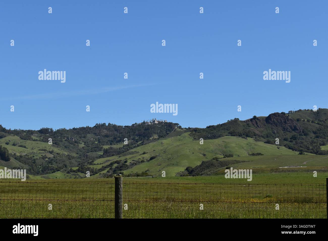 Hearst Castle, California - Stock Image