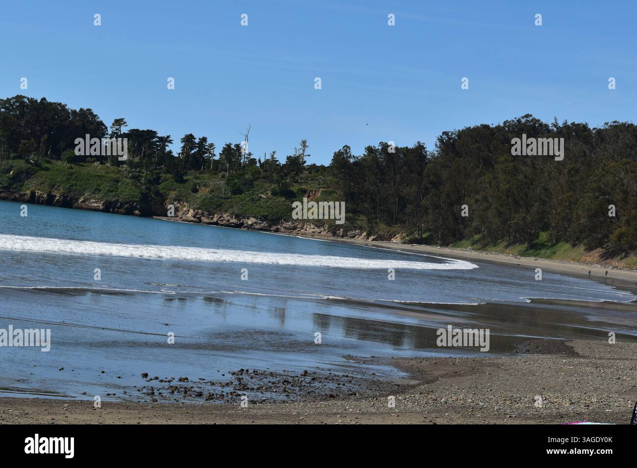 San Simeon State Park boasts the picturesque beach adjacent to the legendary Hearst Castle, a stunning stretch of coastline along California's Highway. - Stock Image