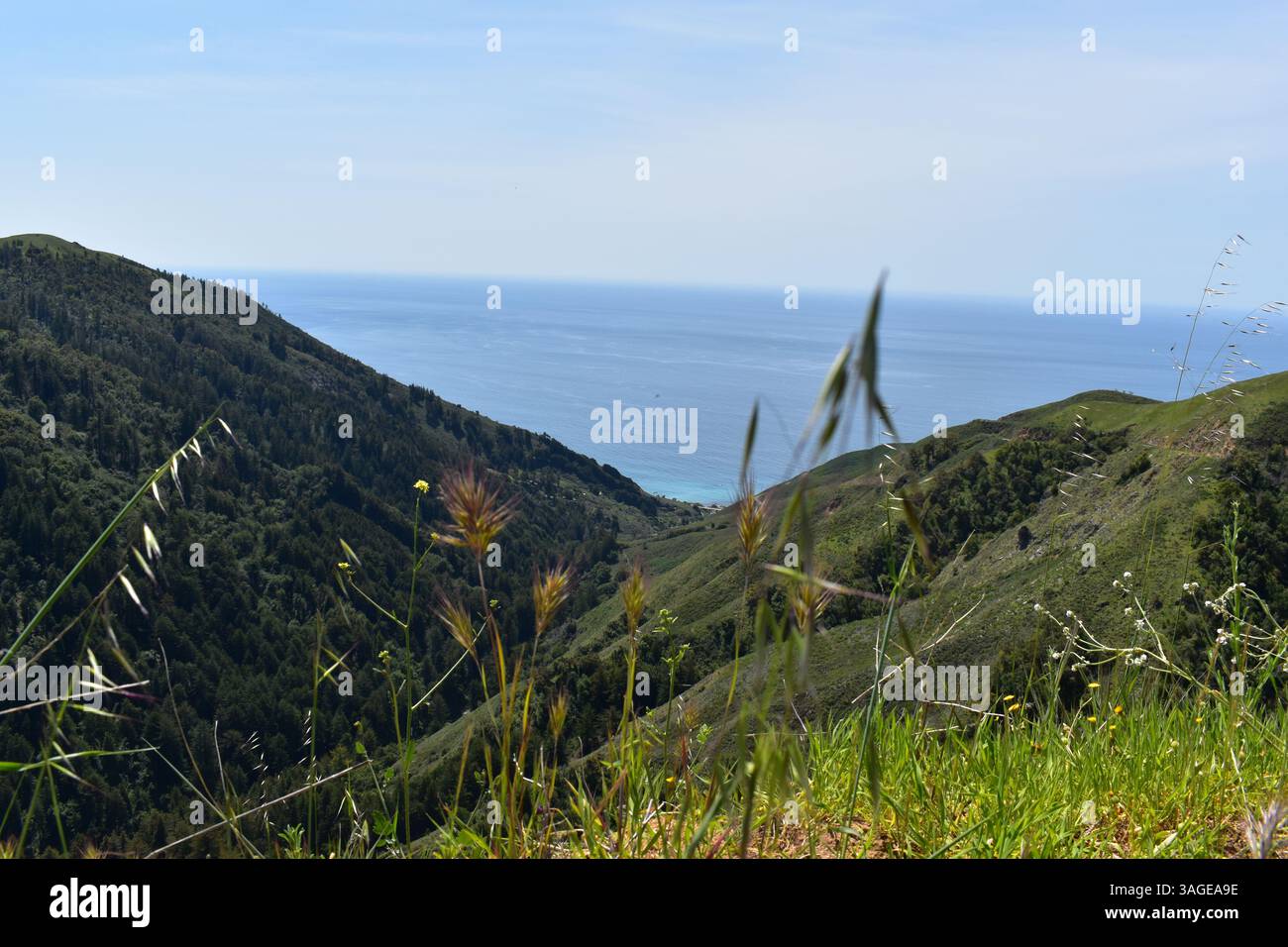 Big Sur's coastline offers a dramatic and rugged beauty, with stunning beaches between towering cliffs and the vast Pacific Ocean. - Stock Image