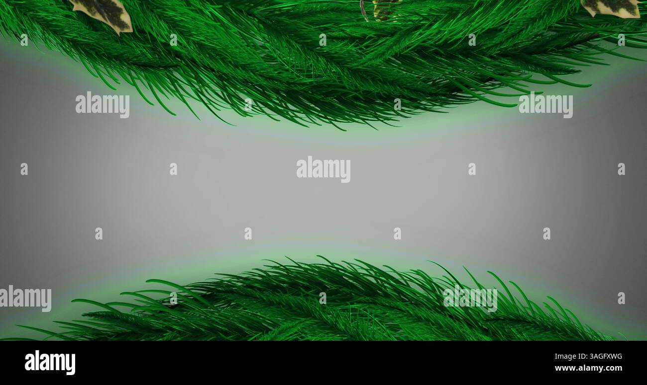 Image of fir trees branches over white background Stock Photo - Alamy