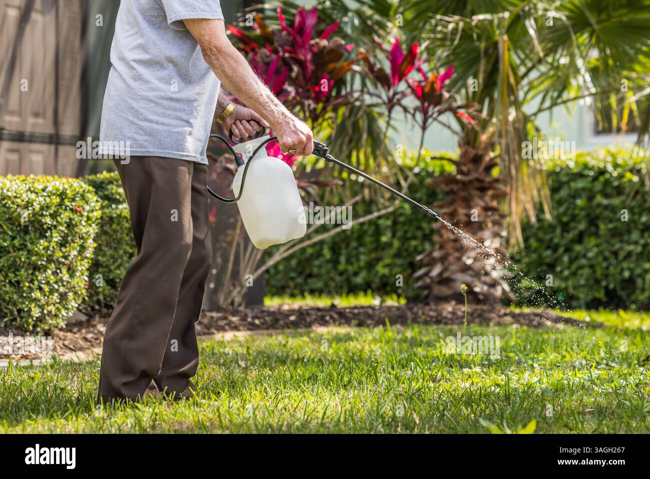 Man spraying weed killer herbicide on green grass residential yard. Landscaper using pump chemical pesticide sprayer for lawn weed control. Stock Photo