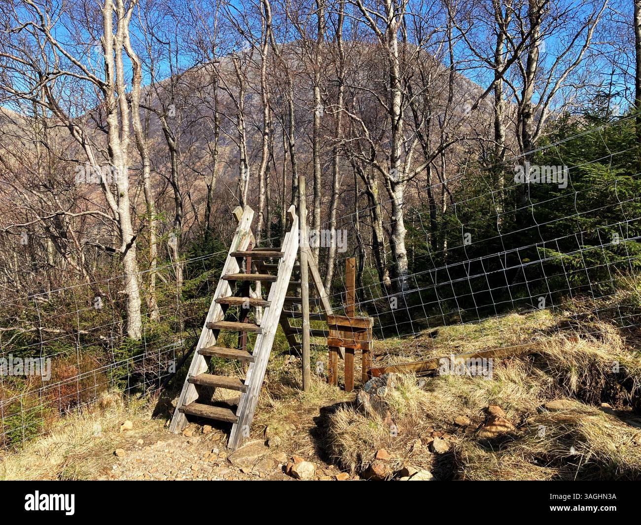 Ladder Stile and Deer fence on the slopes of The Mamores mountain range, near Fort William, Scotland - Smartphone Captured Stock Image