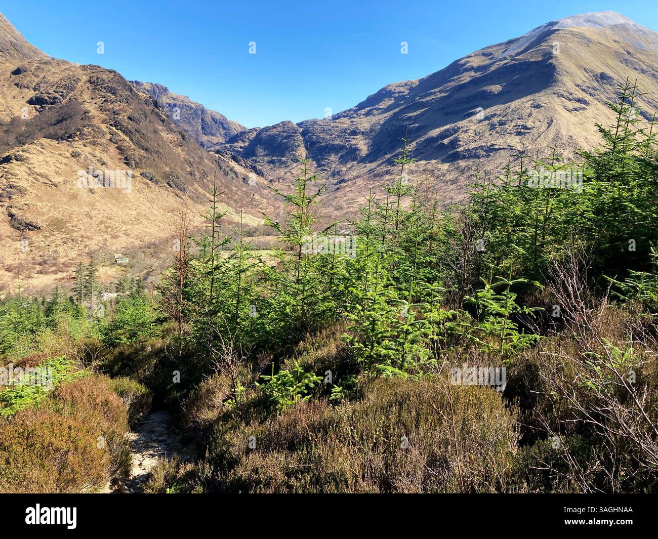 View from the lower slopes, The Mamores mountain range, near Fort William, Scotland - Smartphone Captured Stock Image
