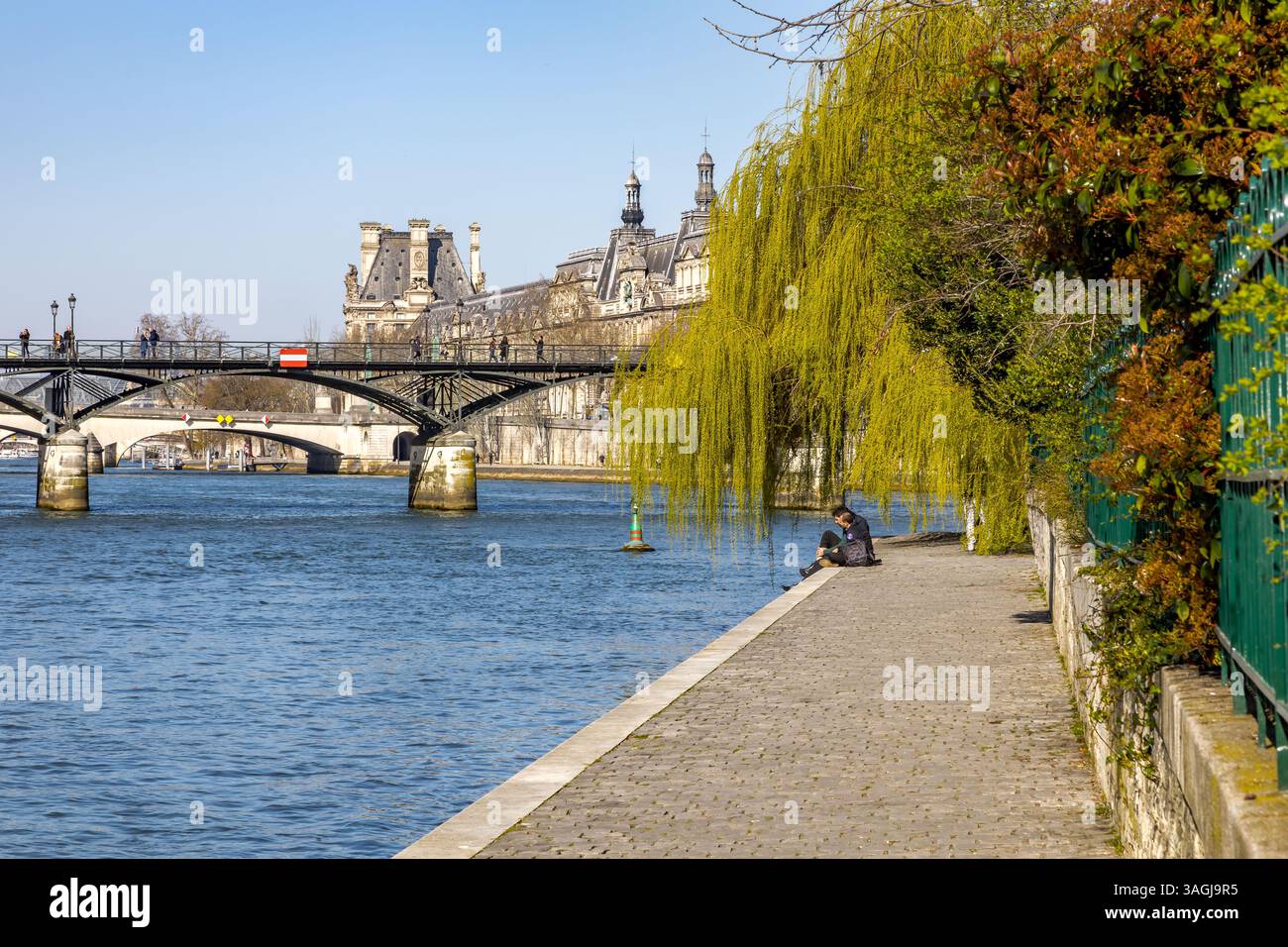 A view of the Pont du Carrousel bridge from the Square du Vert-Galant, along the Seine River, Paris, France Stock Photo