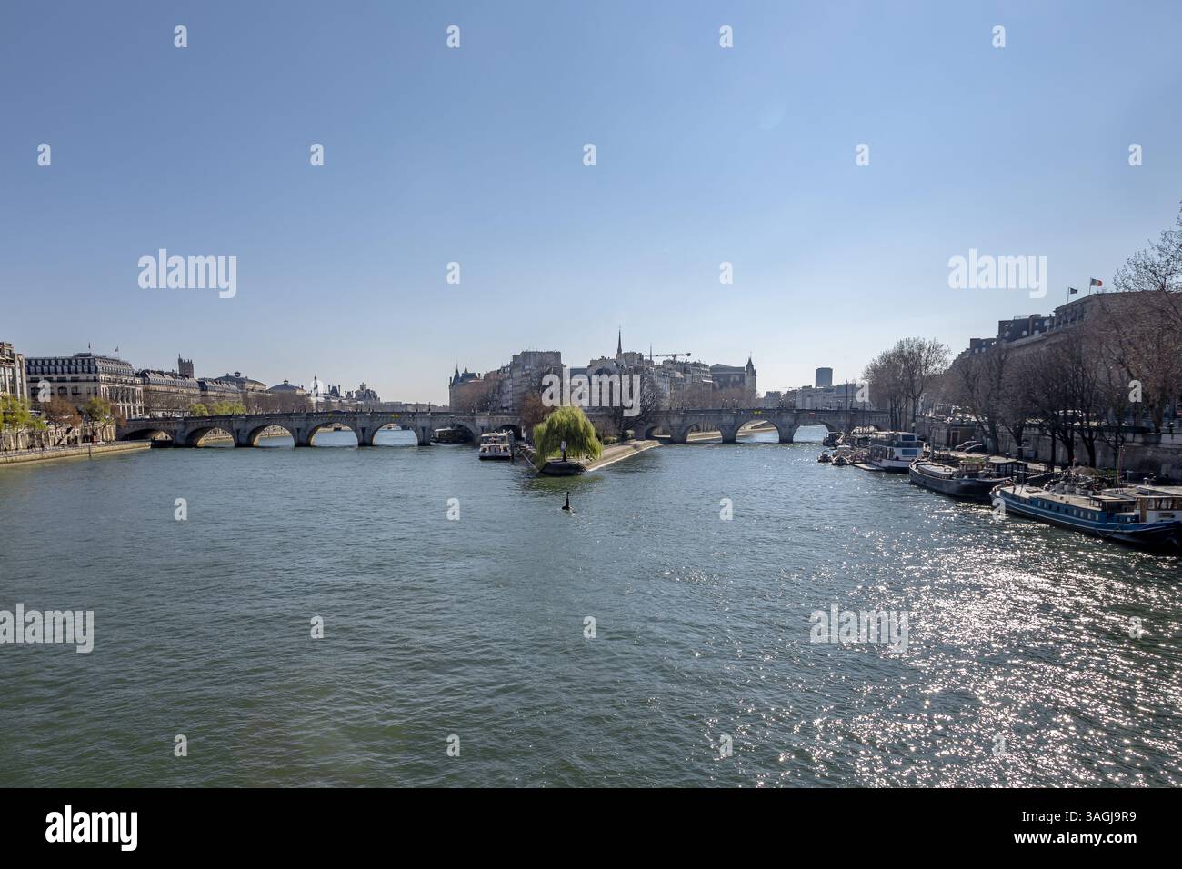 Paris France, a view of the Pont Neuf and the Square de Vert-Galant in the middle of the Seine River Stock Photo