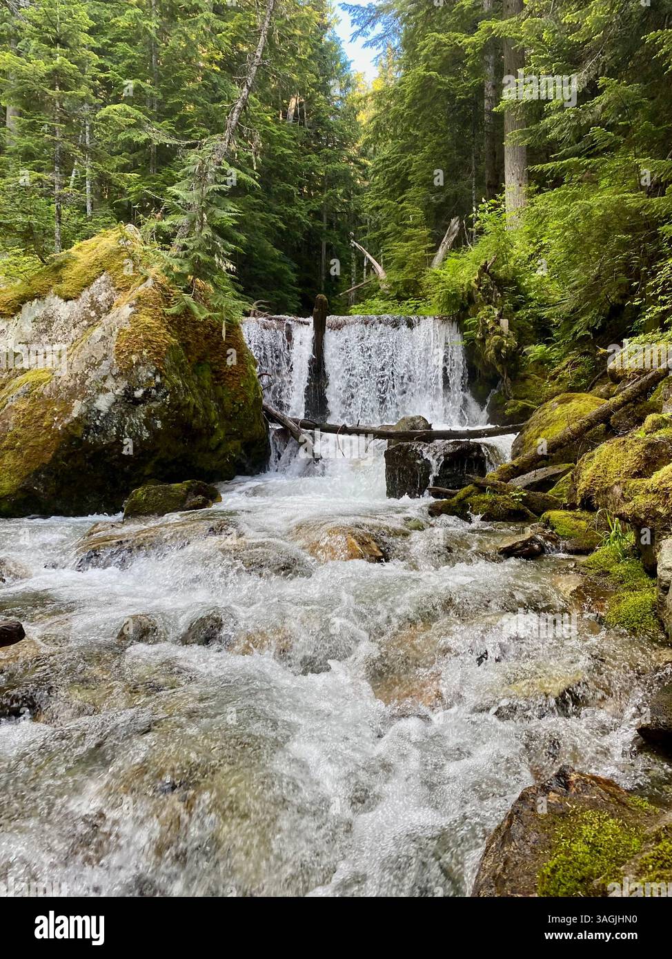 Rushing Waters of a Hidden Forest Waterfall - Smartphone Captured Stock Image