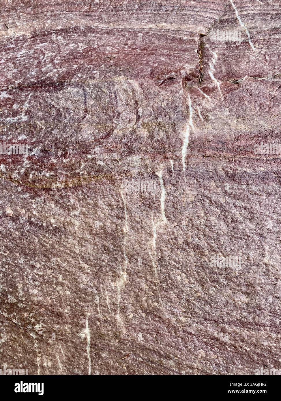 Close-Up of Striated Sandstone Wall - Smartphone Captured Stock Image