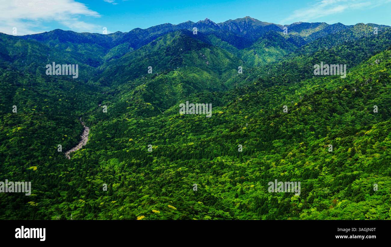 Spectacular view of Kyushu's highest peak Miyanoura-dake and virgin forest from Yakushima island Taikorock,　　 Kagoshima Prefecture, 　Japan Stock Photo