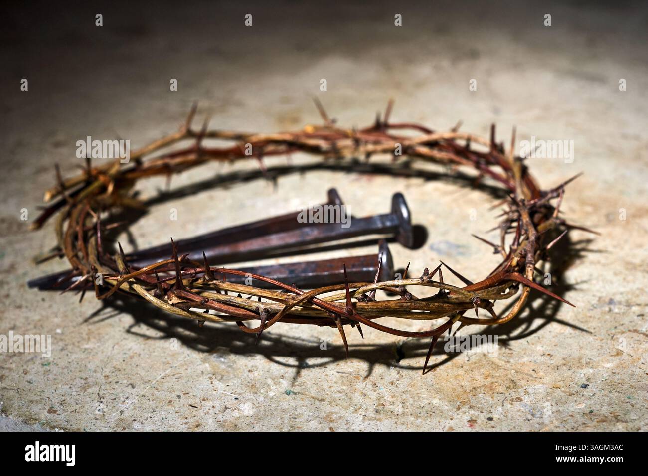 Crown of Thorns and Nails Stock Photo - Alamy