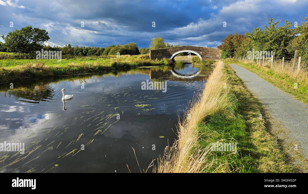 Arch reflection from a bridge to the East of Rishton o the Leeds Liverpool canal - Smartphone Captured Stock Image