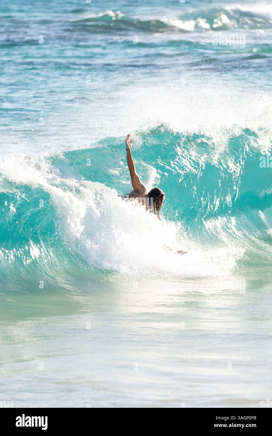 Body Surfer rides tropical wave at sunny beach, capturing summer fun ...