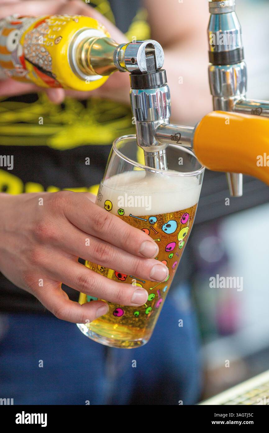 pulling pint of beer into glass at The Corner Pin pub in Tottenham ...
