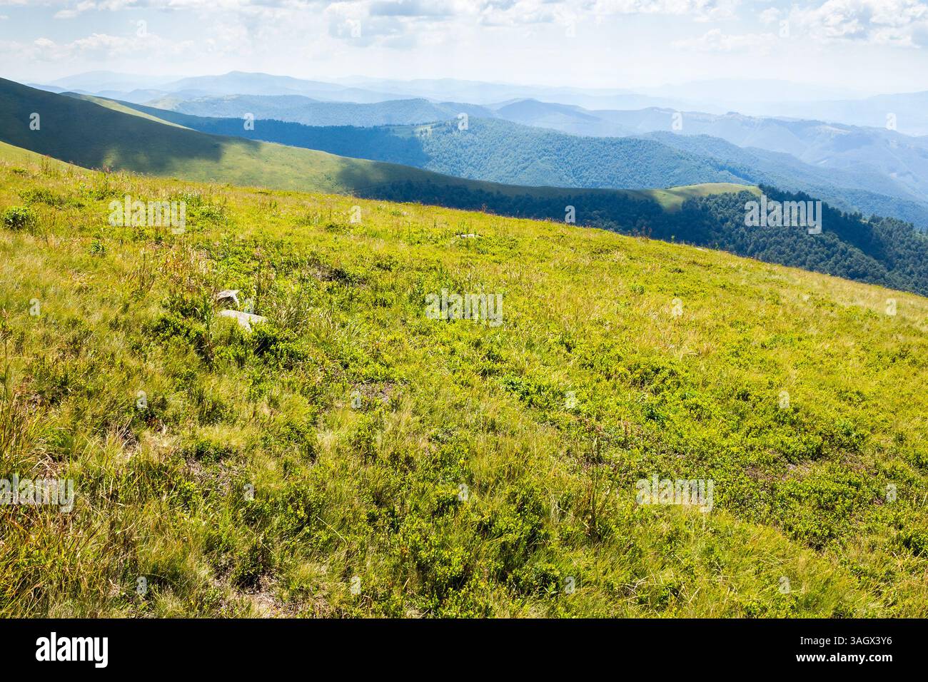 rolling scenery with grassy alpine meadow. spectacular view. scenic carpathian mountain landscape of borzhava ridge. popular travel destination of ukr Stock Photo
