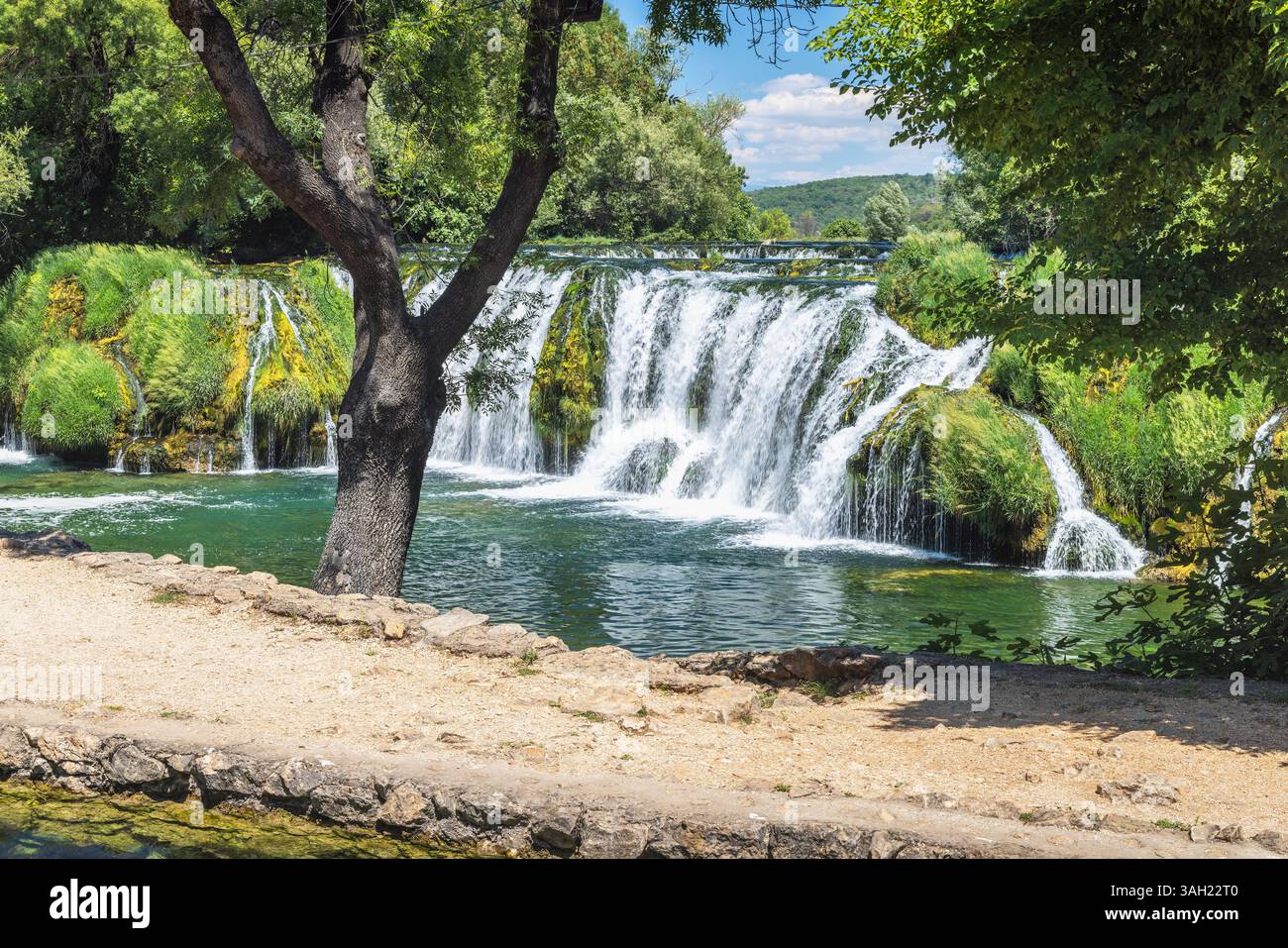 A beautiful cascading waterfall is surrounded by greenery, trees, and vegetation. The water flows down the mossy rocks and collects into a pool. The s Stock Photo