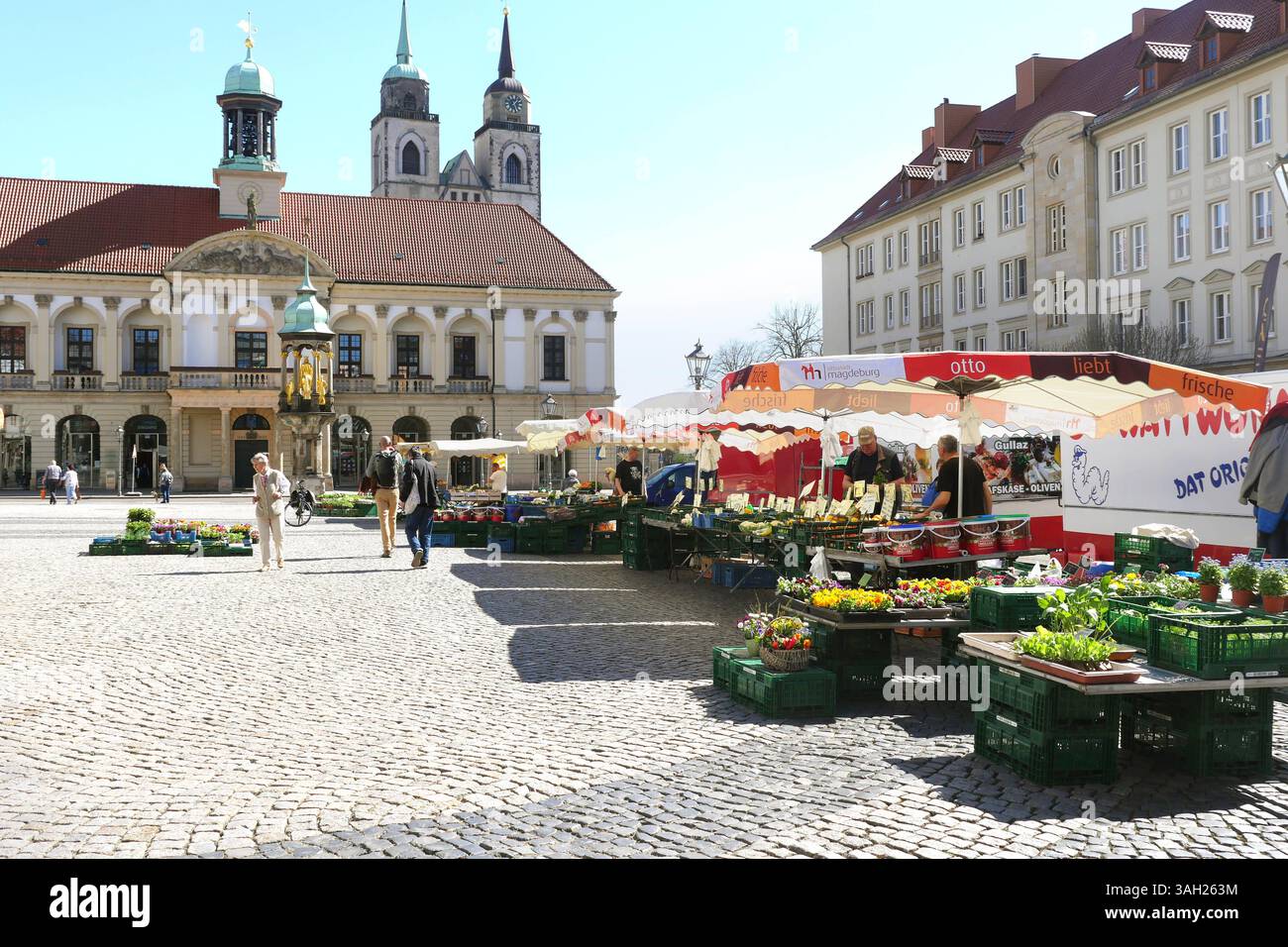 Faszinierend M Markt Sachsen Anhalt Bild
