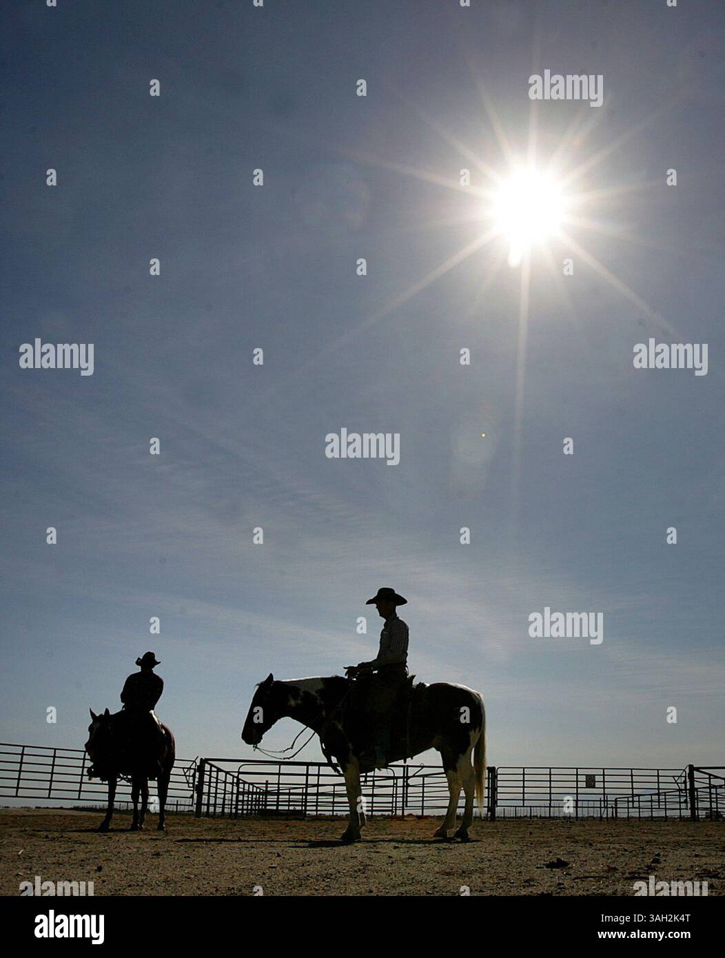 Buttonwillow Cattle Ranch Father chisholm hi-res stock photography and images - Alamy