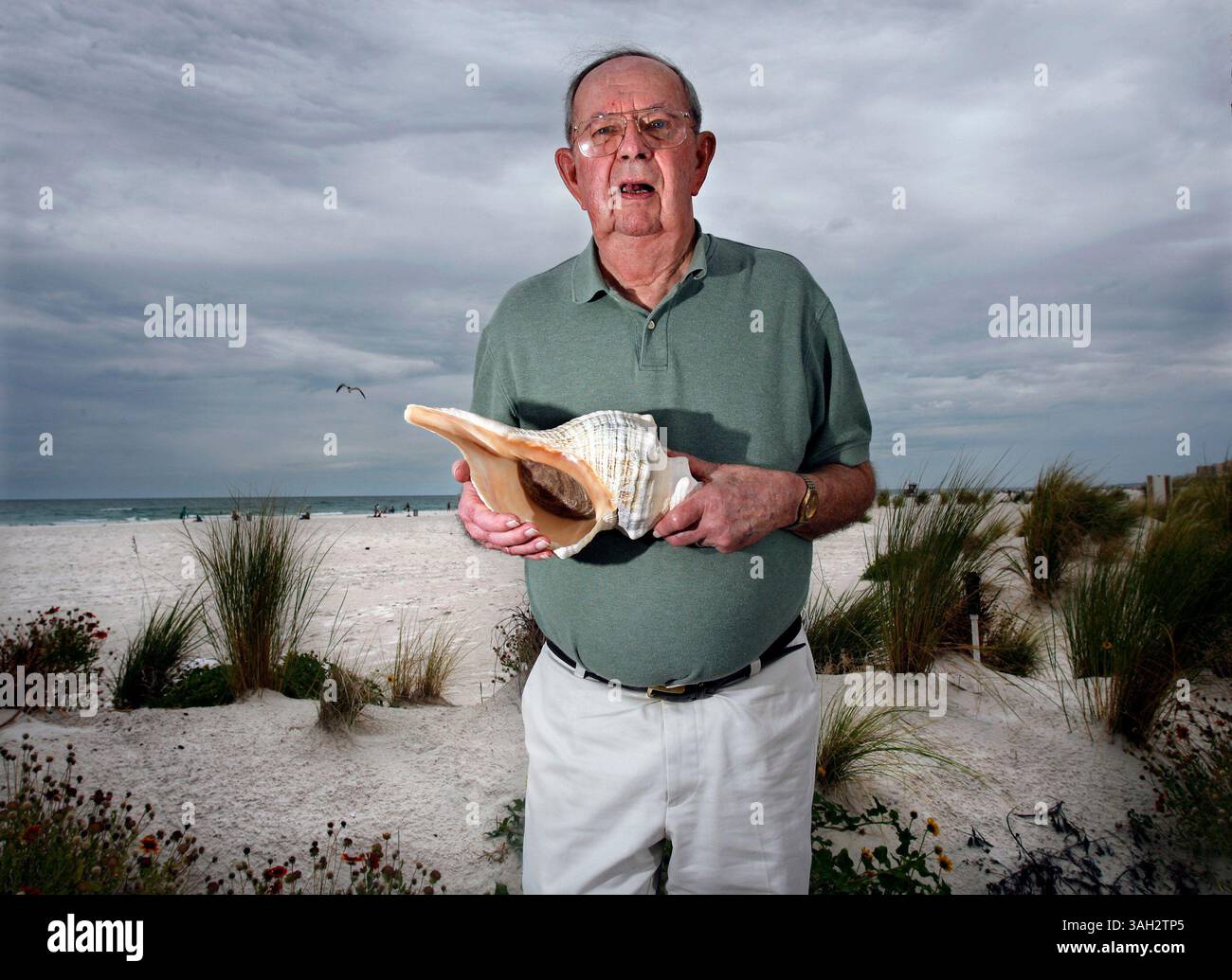 Official horse of florida hi-res stock photography and images - Alamy