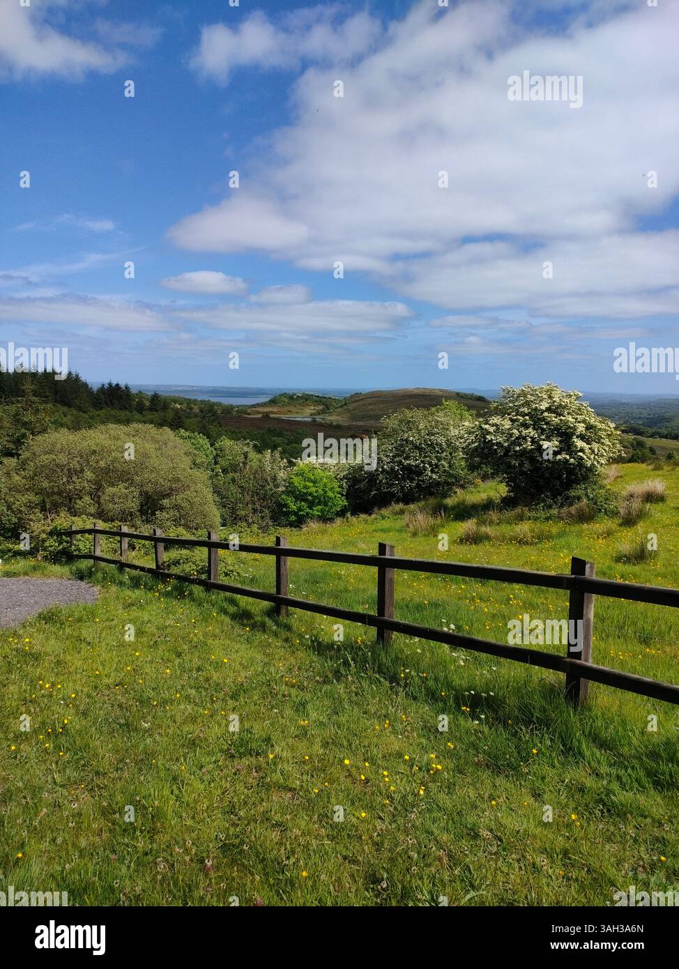 A peaceful countryside scene with a wooden fence, grassy path and open blue sky. A tranquil view of rural life and natural beauty. - Smartphone Captured Stock Image