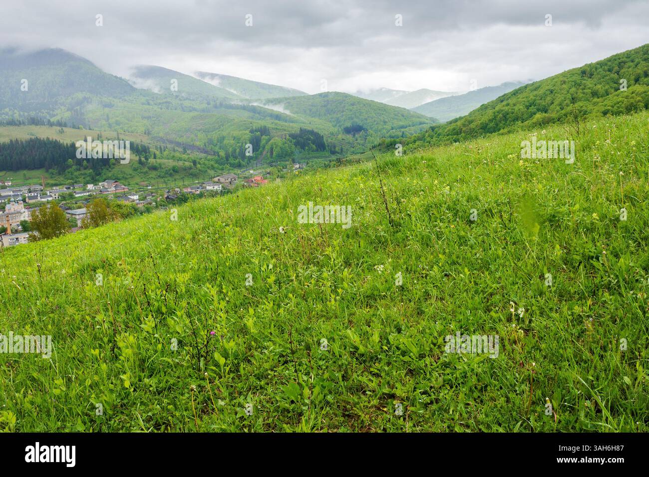 countryside mountain landscape in the rain. carpathian range. field with wet green grass near forest on the hill. view in to rural valley under sky wi Stock Photo