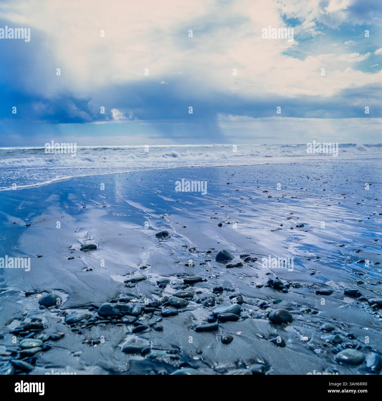 Beach in New Zealand Stock Photo