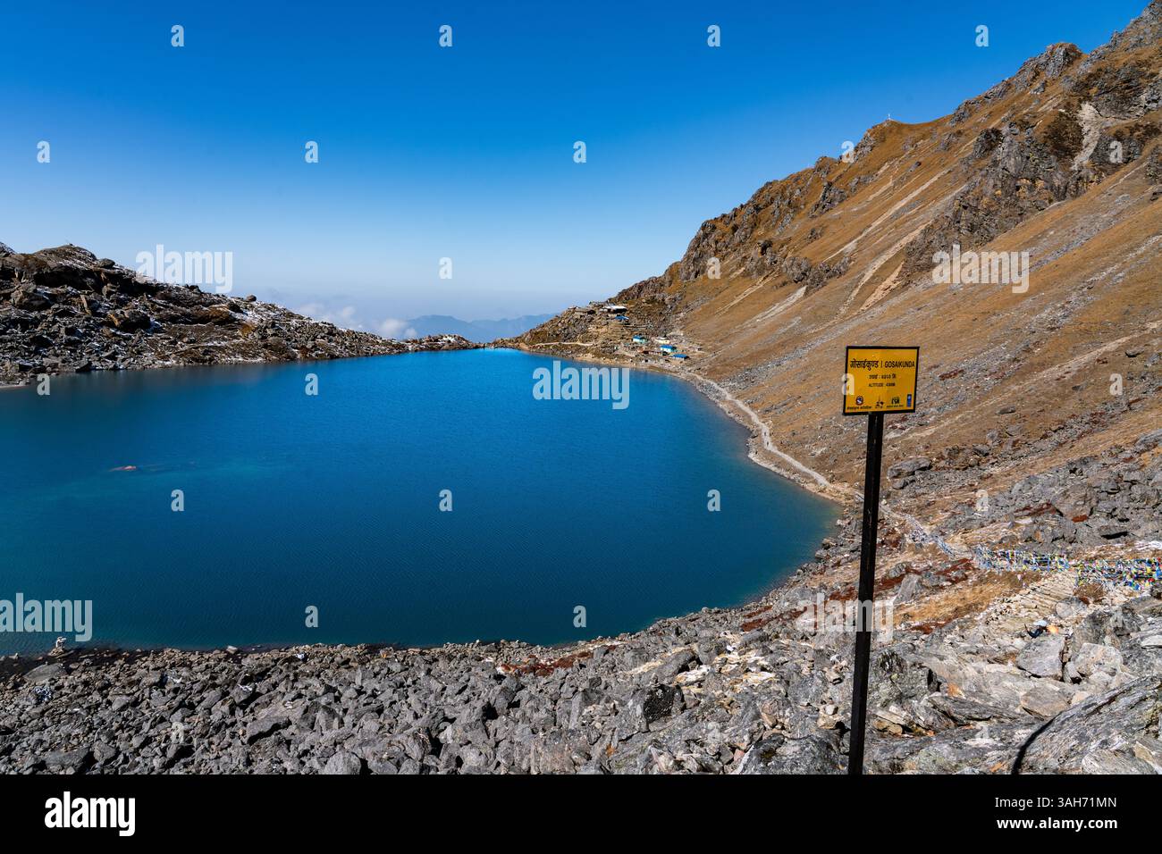 Blue himalayan hi-res stock photography and images - Alamy