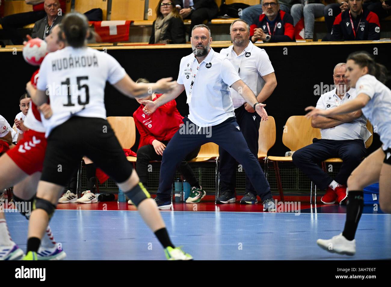 Regional Handball Finals Set Gallen Organizational Effort and Community Impact