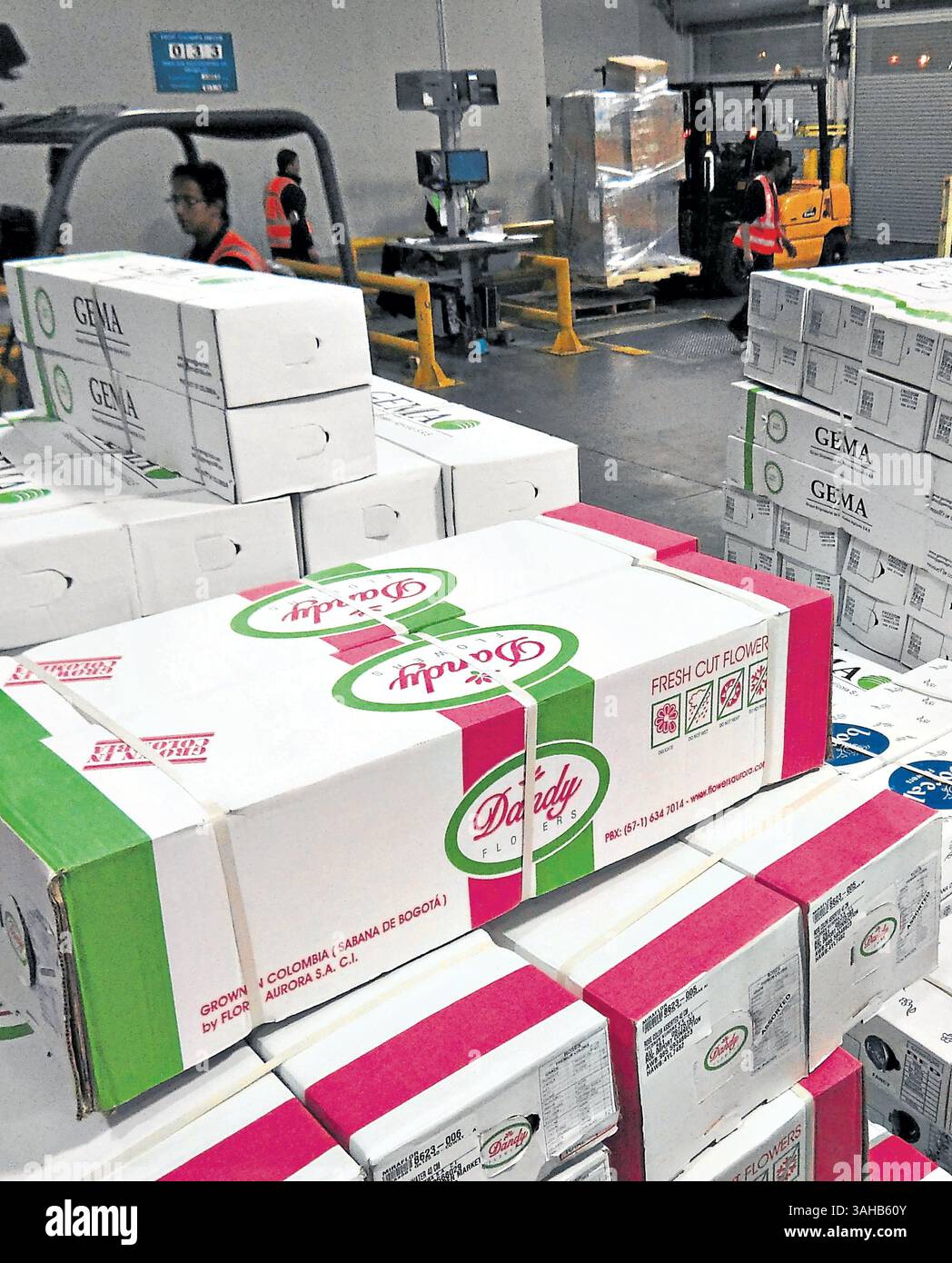 El 1 por ciento hi-res stock photography and images - Alamy, image size:1048x1390