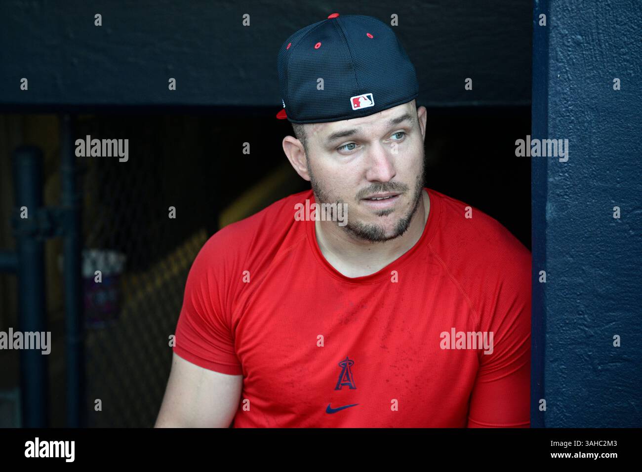 Los Angeles Angels outfielder Mike Trout looks on from the dugout ...