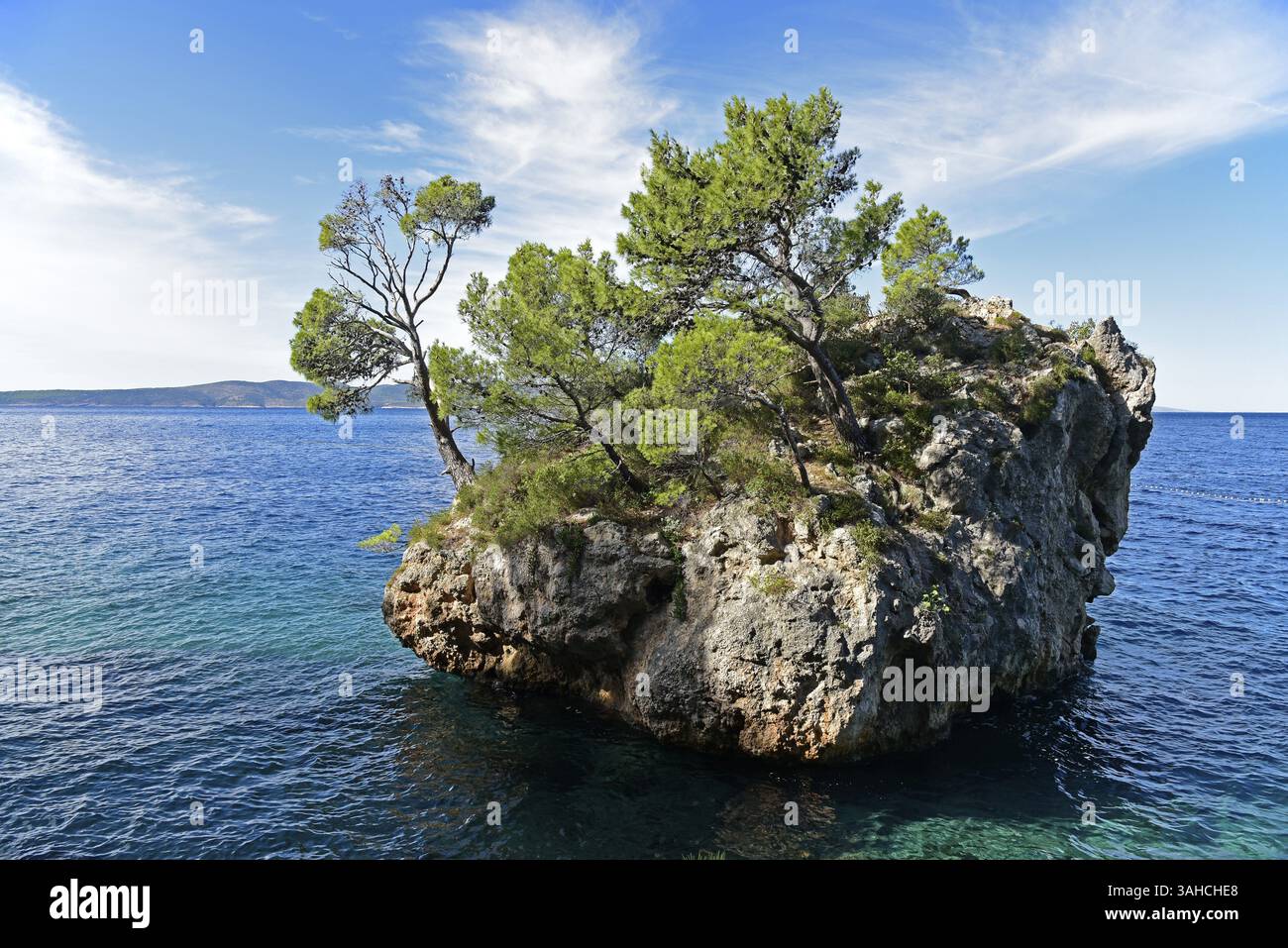 Brela stone pine trees hi-res stock photography and images - Alamy
