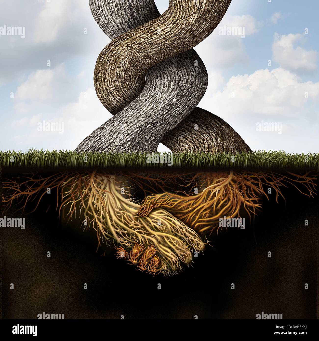 Tree handshake as a symbol of unity and strong long term business ...