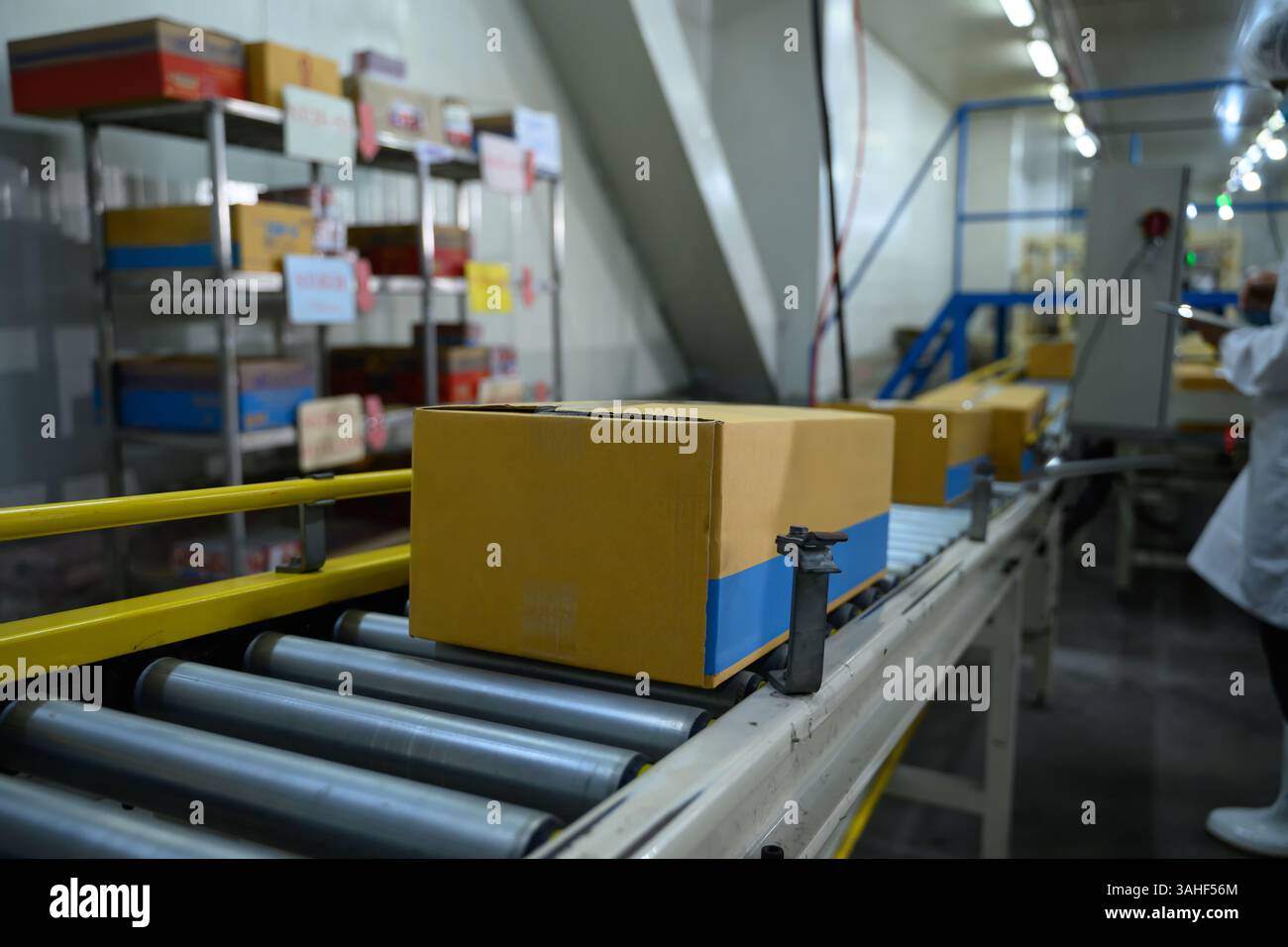 Conveyor belt system transporting cardboard boxes in modern food ...