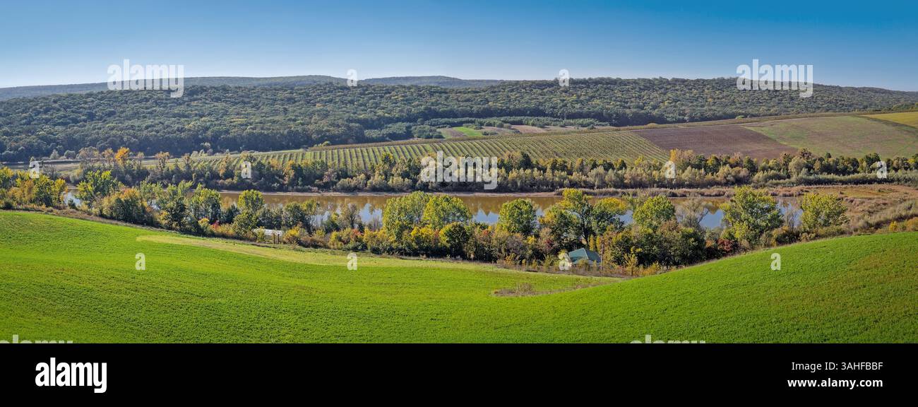 Panoramic landscape with rolling green hills, a river and a dense forest at horizon under the blue sky. Picturesque rural scene with agricultural land - Smartphone Captured Stock Image