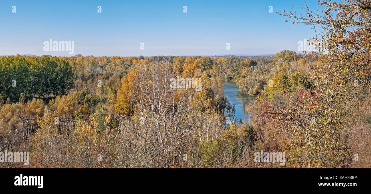 Autumn rural panorama with a serene river winding through a dense forest with multicolored trees. The vibrant foliage from green to yellow, creates a - Smartphone Captured Stock Image