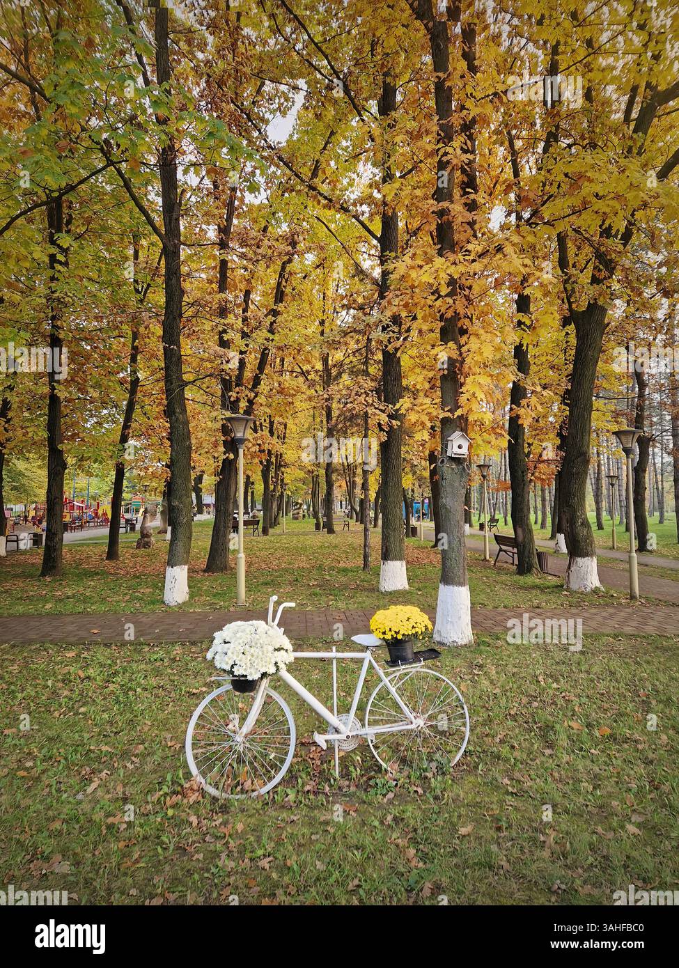 A white bicycle decorated with flowers placed against colorful trees in the autumn park - Smartphone Captured Stock Image