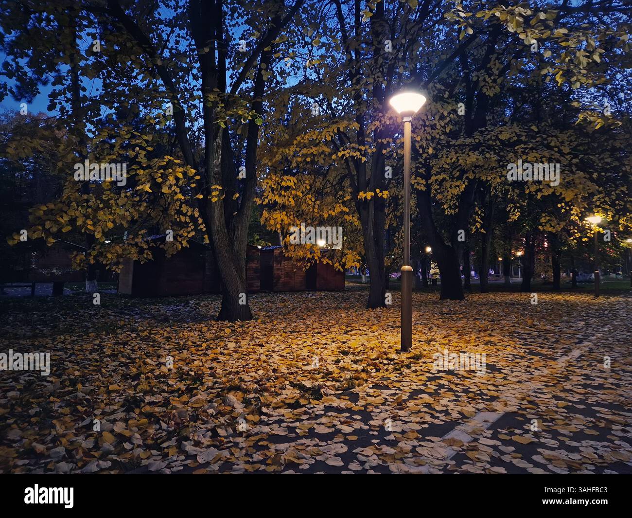 Colorful autumn night in the park with a path covered in fallen yellow leaves and streetlight posts illuminating the scene with a warm glow. Serene fa - Smartphone Captured Stock Image