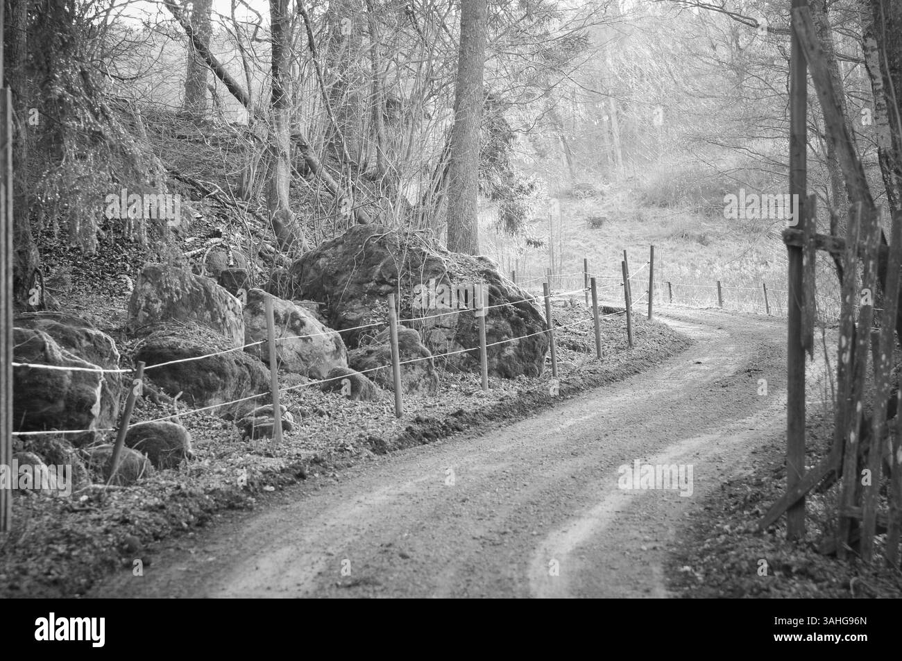 Sunlight sky empty road Black and White Stock Photos & Images - Alamy
