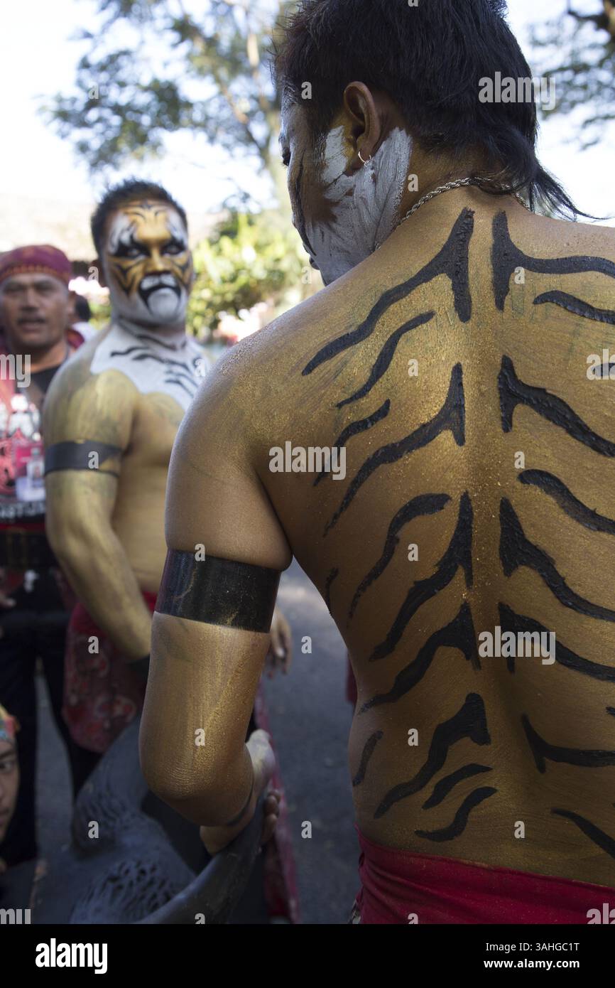 May 21, 2015 - Tugu, East Java, Indonesia - A dancer with his tiger fur ...