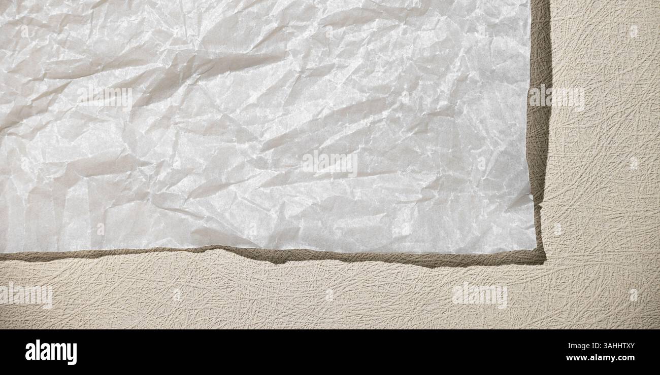 Neutral monochrome background with a white empty sheet of paper. Top view, clean minimal style in neutral colors, space for text. Stock Photo