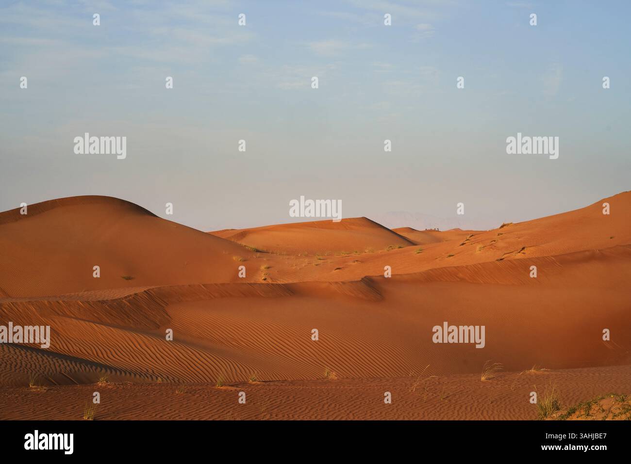 Vast desert landscape with rolling sand dunes under a clear blue sky ...