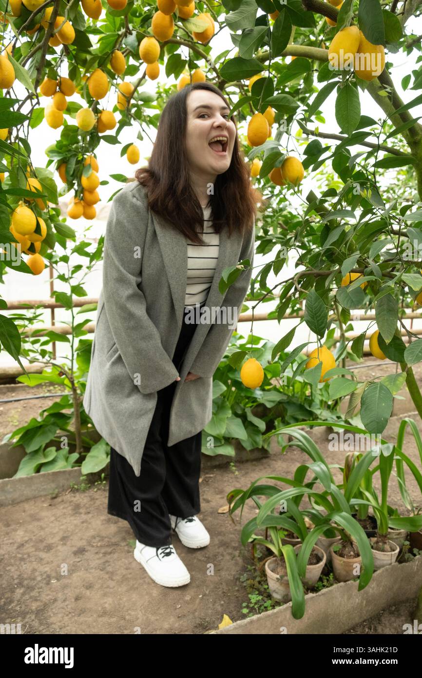 Woman Biting Lemon in Lemon Garden. Stock Photo